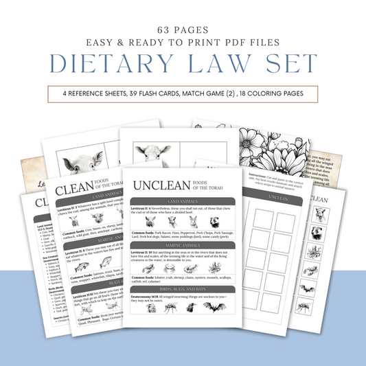 Printable Dietary Law Activity Bundle - Scribbles & Scriptures