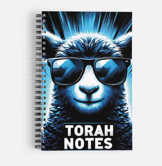 Blue Torah Notes Notebook - Pre order - Scribbles & Scriptures