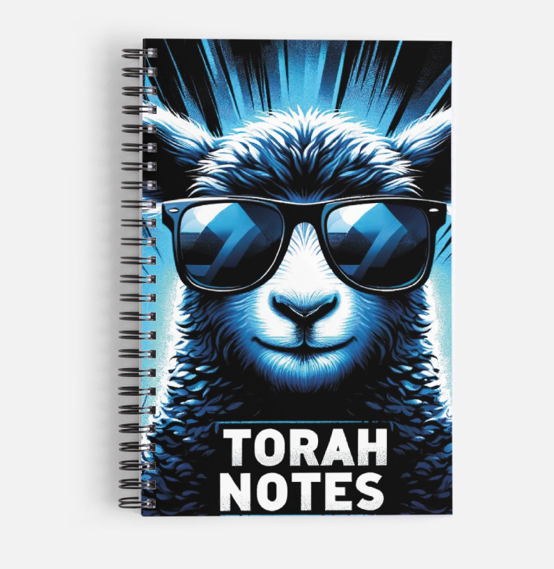 Blue Torah Notes Notebook - Pre order - Scribbles & Scriptures