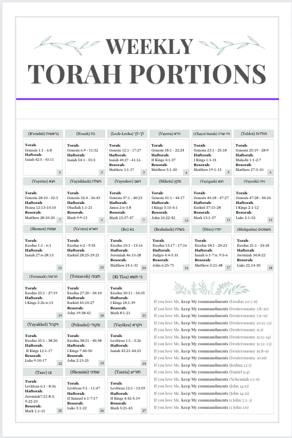 Annual Torah Reading Cycle Wall Art Posters - Scribbles & Scriptures